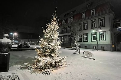 Holiday flat family holiday Goslar