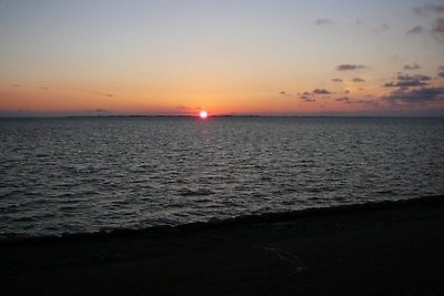 Deichblick