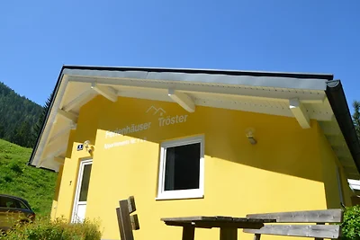 Appartamento Vacanza con famiglia Bad Kleinkirchheim