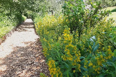 apartman za odmor Obiteljski odmor Bad Freienwalde