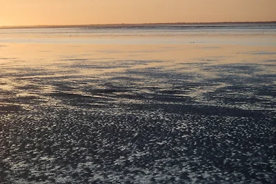 Vakantiehuis Ontspannende vakantie Neuharlingersiel