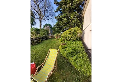Blick über Hohegeiss