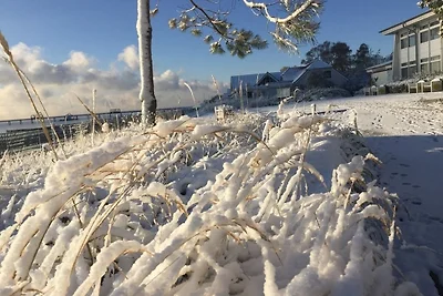 Haus Strandläufer Wohnung 2