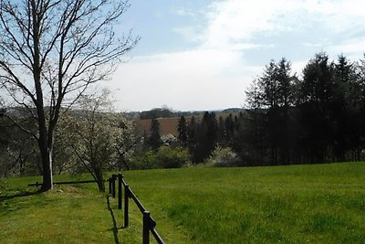 Vakantieappartement Gezinsvakantie Bernkastel-Wittlich