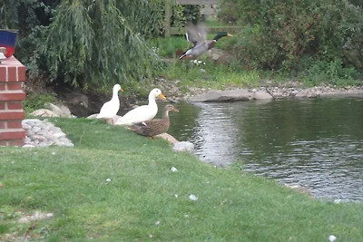 Fehmarn Beltblick - Wohnung Ost