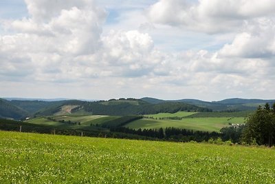 Vakantiehuis Ontspannende vakantie Winterberg