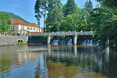 Vakantieappartement Gezinsvakantie Bad Lauterberg im Harz