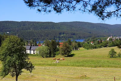 Ferienwohnung Tanja - Auszeit