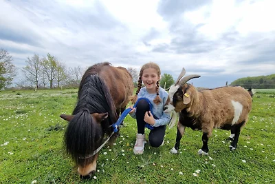 Accommodatie Vakantie op de boerderij Schashagen