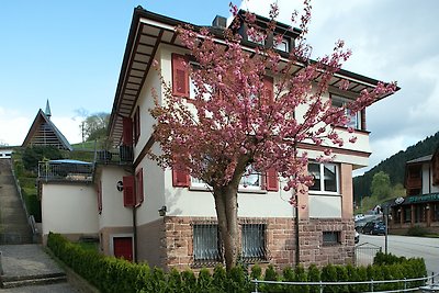 Vakantieappartement Gezinsvakantie Bad Peterstal-Griesbach