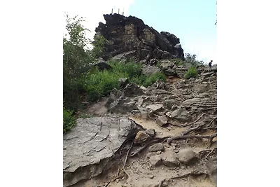 Ferienwohnung/Ferienhaus Waldblick