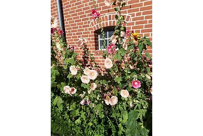 Hof Rüsch - FeWo Fohlenkoppel