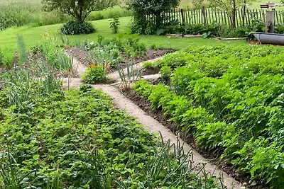 Ferienhof Schoof No.1