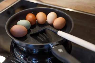 Landhaus zum Wieseneck