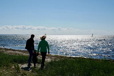 Holiday flat family holiday Burg auf Fehmarn
