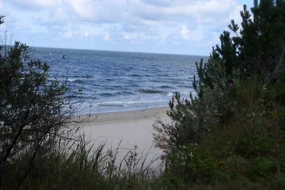 Ferienzimmer am Walde