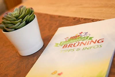 Familienhof Brüning - Stadtblick