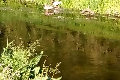 Vakantieappartement Gezinsvakantie Hoppegarten