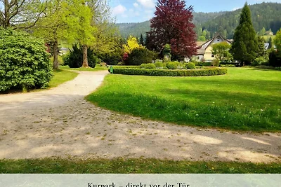 Vakantieappartement Gezinsvakantie Baiersbronn