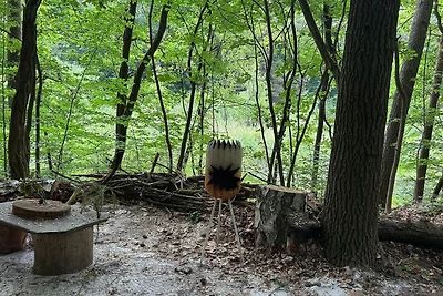 Casa su barca Vacanza single Coswig