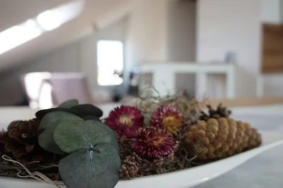 Sonnenhalde, Moderne Neubau-