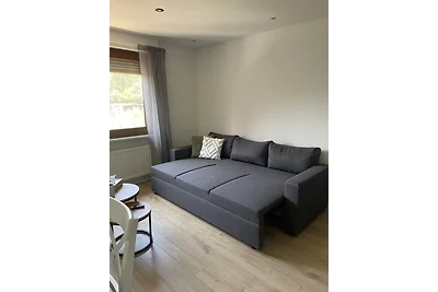 RheinSchatz Apartment 4