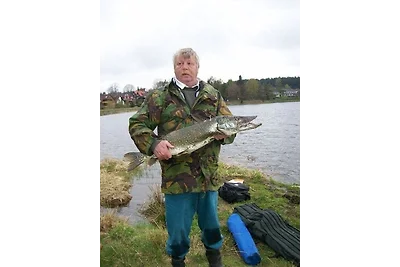 Ferienwohnung Brinkmann