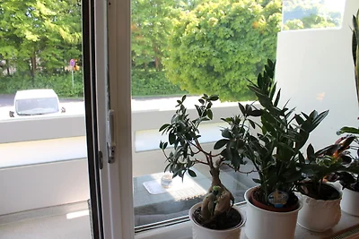 Whg. Beyer - Driftberg 53 -