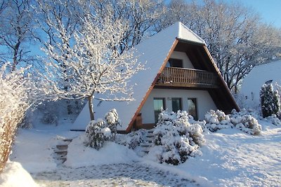 Finnhäuser am Vogelpark - Haus