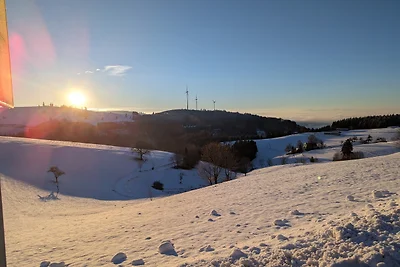 Vakantieappartement Gezinsvakantie Schopfheim