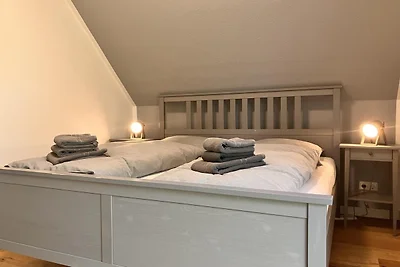 Sturmmöwe, Haus an den Salzwiesen