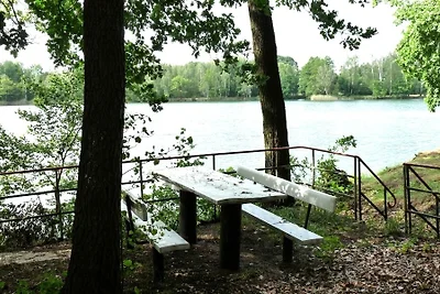 Vakantiehuis Ontspannende vakantie Heideblick