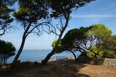 Vakantiehuis Ontspannende vakantie Salerno