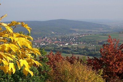 Vakantieappartement Gezinsvakantie Fladungen