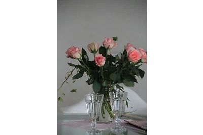 apartman za odmor Obiteljski odmor Friedrichskoog