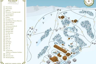 Berghütte in Saalbach Bachalm 1802