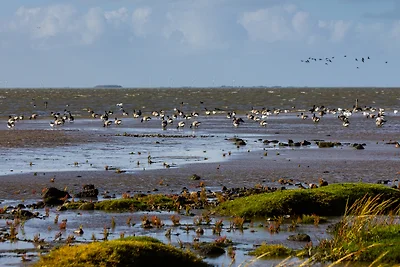 Appartamento Vacanza con famiglia Almdorf