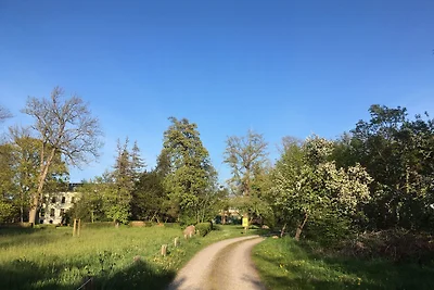 Landhaus Ostseeblick - Apartment