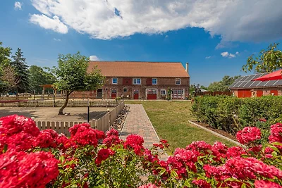 Vakantieappartement Gezinsvakantie Arendsee