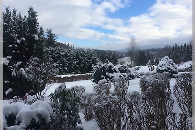 Harz Fewo Eulennestchen L.2