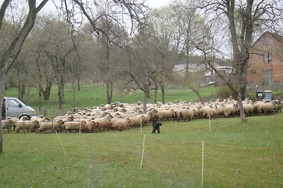 Vakantieappartement Gezinsvakantie Reimershagen