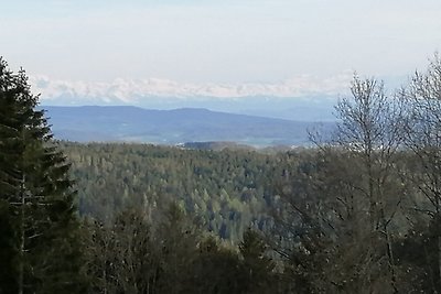 Vakantiehuis Ontspannende vakantie Dachsberg