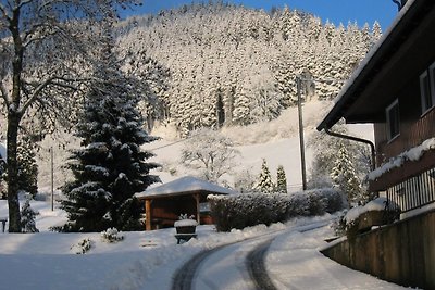 Vakantieappartement Gezinsvakantie Gutach