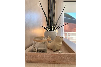 Apartment 15 "Sturmmöwe"