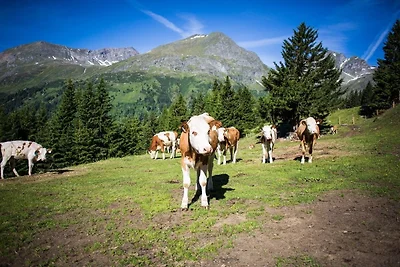 Casa vacanze Vacanza di relax Matrei in Osttirol