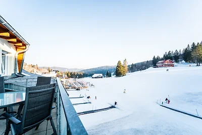 Appartamento Vacanza con famiglia Feldberg