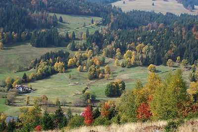 B2 Schwarzwald-Ferienwohnung