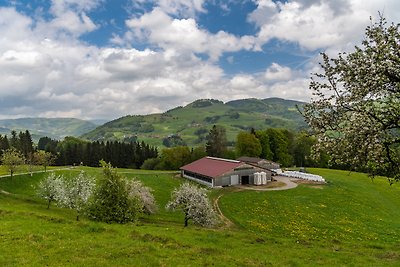 Appartamento Vacanza con famiglia Lörrach