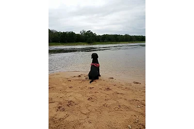 Gästequartier "mittendrin" in