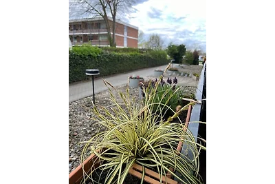 Ferienwohnung Pino (Whg. Nr. 8)